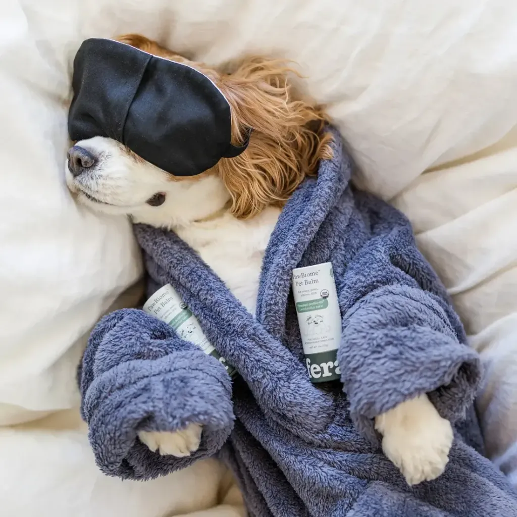 fera-pets-pawbiome-pet-balm-5_f63755a4-0567-48e1-97d6-288ddb90f893
