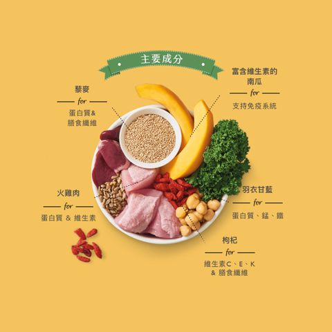 2023主圖規範_廠商