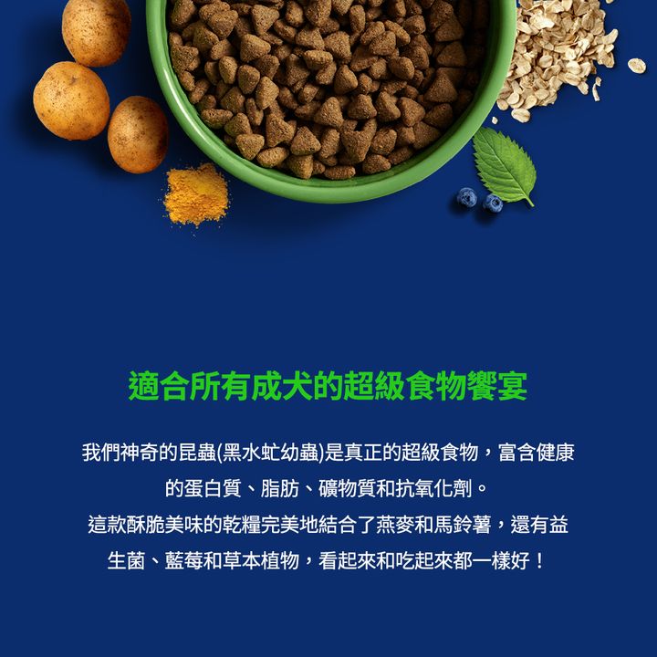 2023主圖規範_廠商.psd 介紹 (2)