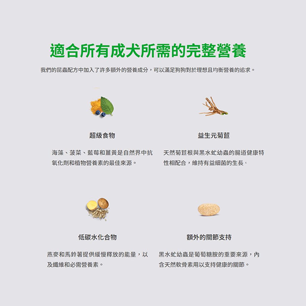 03 (10)
