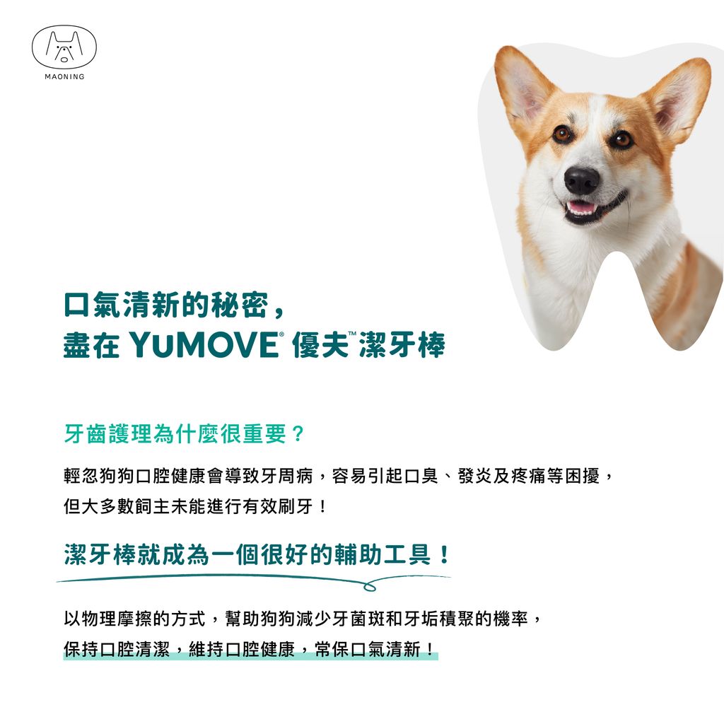 SHOPEE_優夫潔牙棒_1115_01