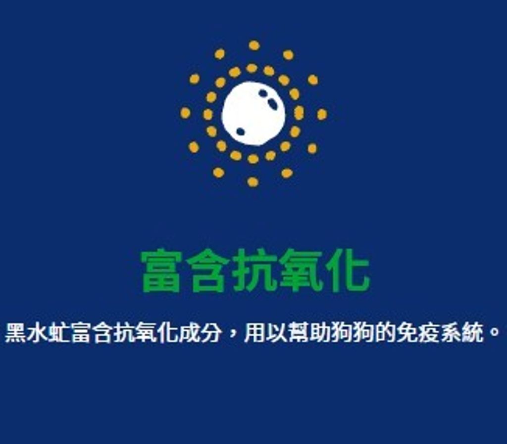 螢幕擷取畫面 2024-12-31 120458