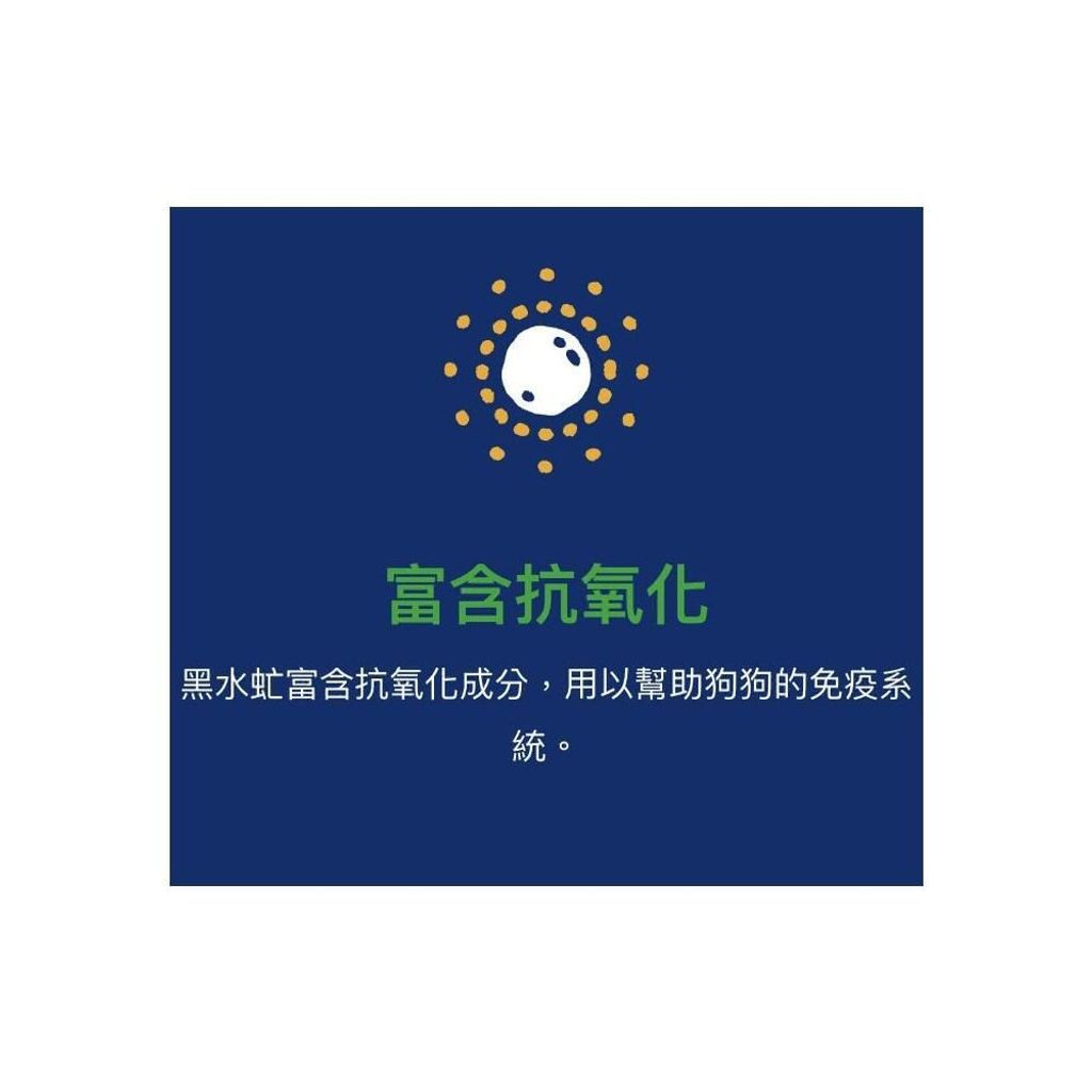 TP00012420000102_B1