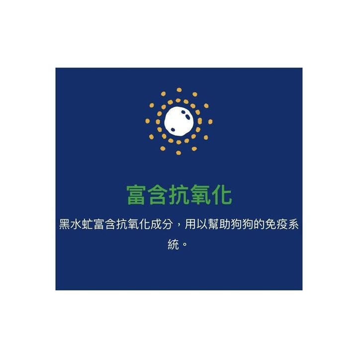 TP00012420000102_B1