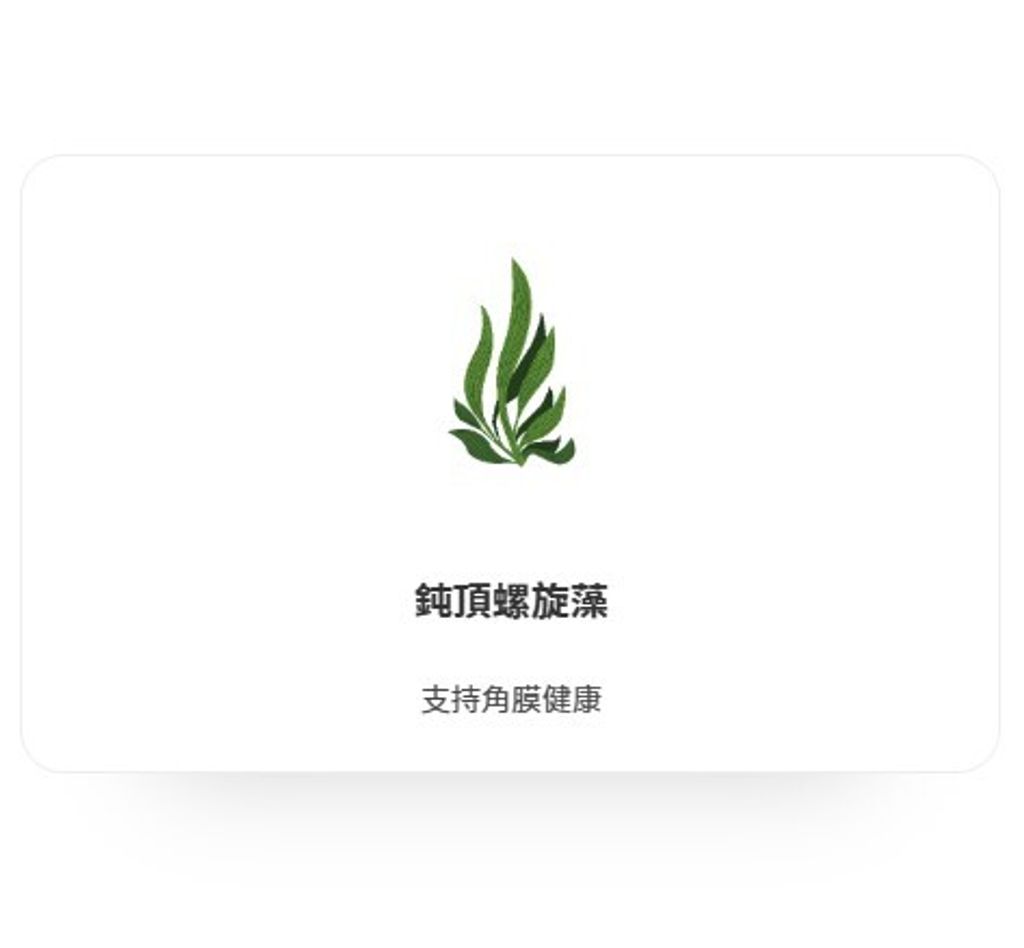 螢幕擷取畫面 2025-02-14 105252