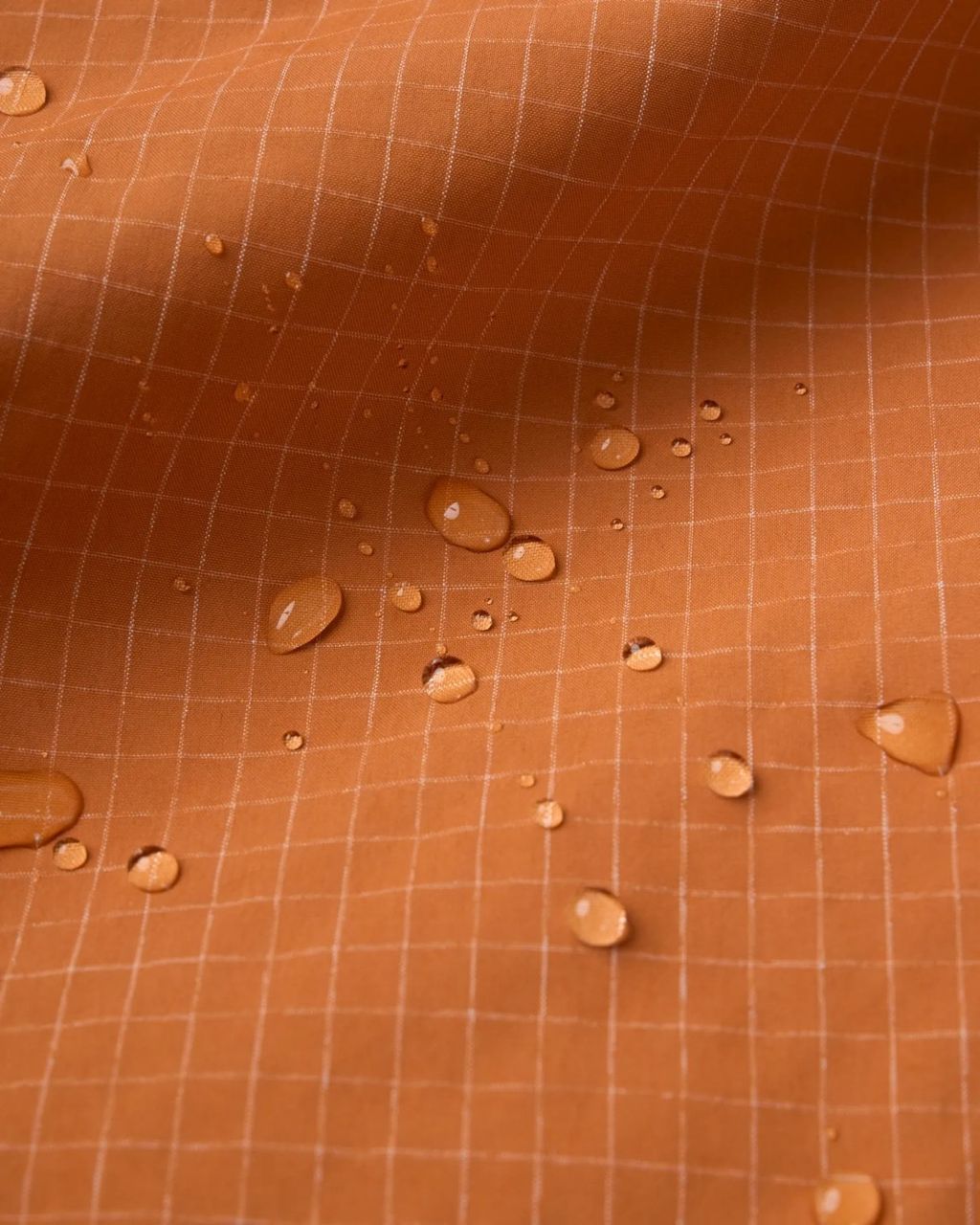 S__27639860_0