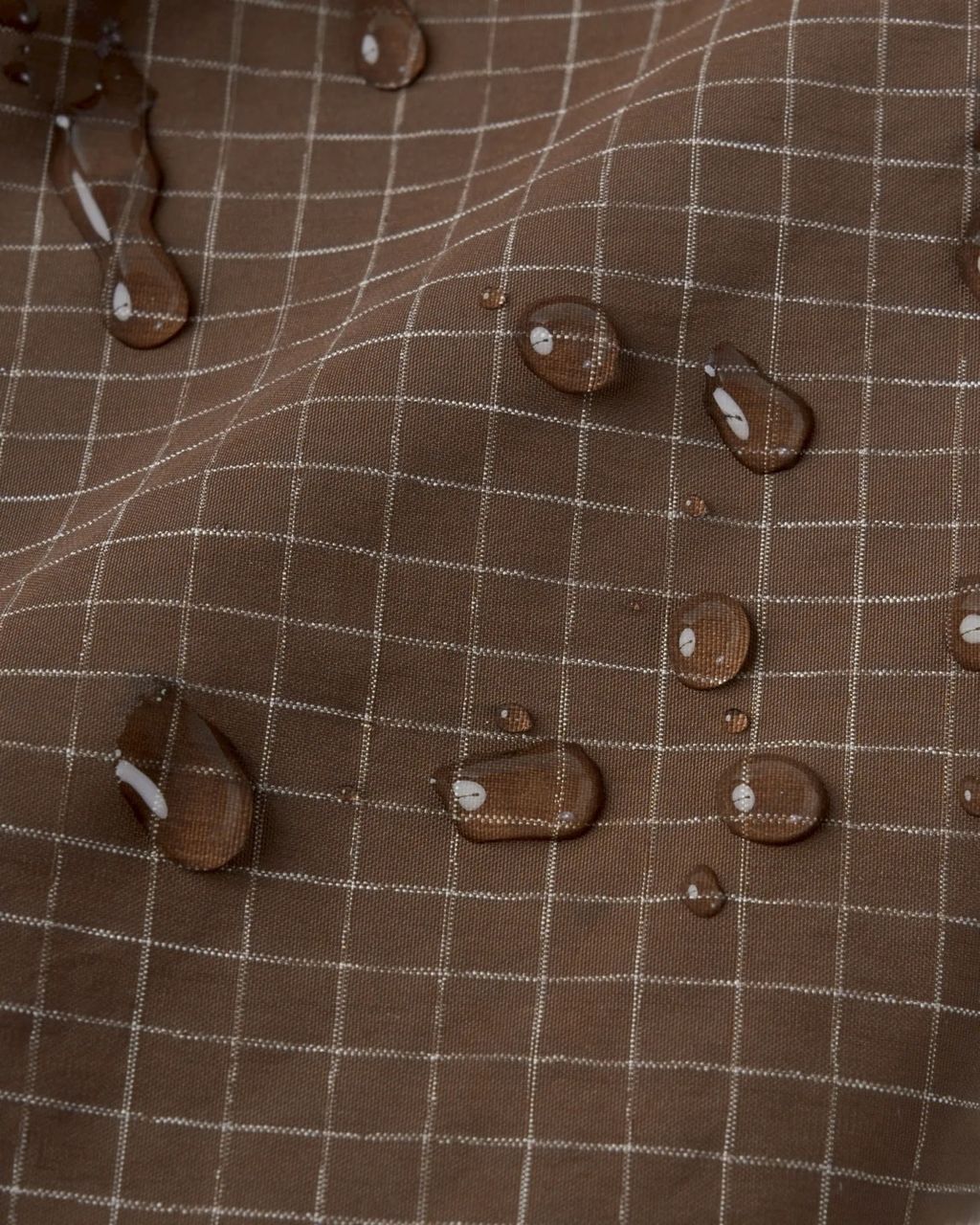 S__27639848_0