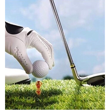 tw-11134207-23020-izgd64dk2snvf7