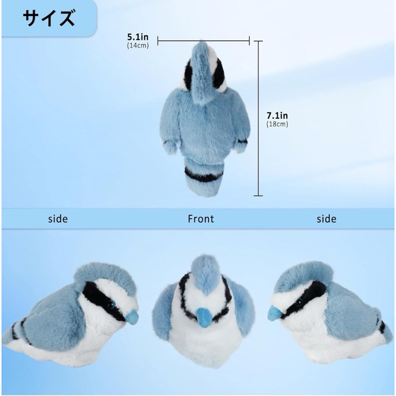 tw-11134207-7rasd-m4u1qndbxgdy45