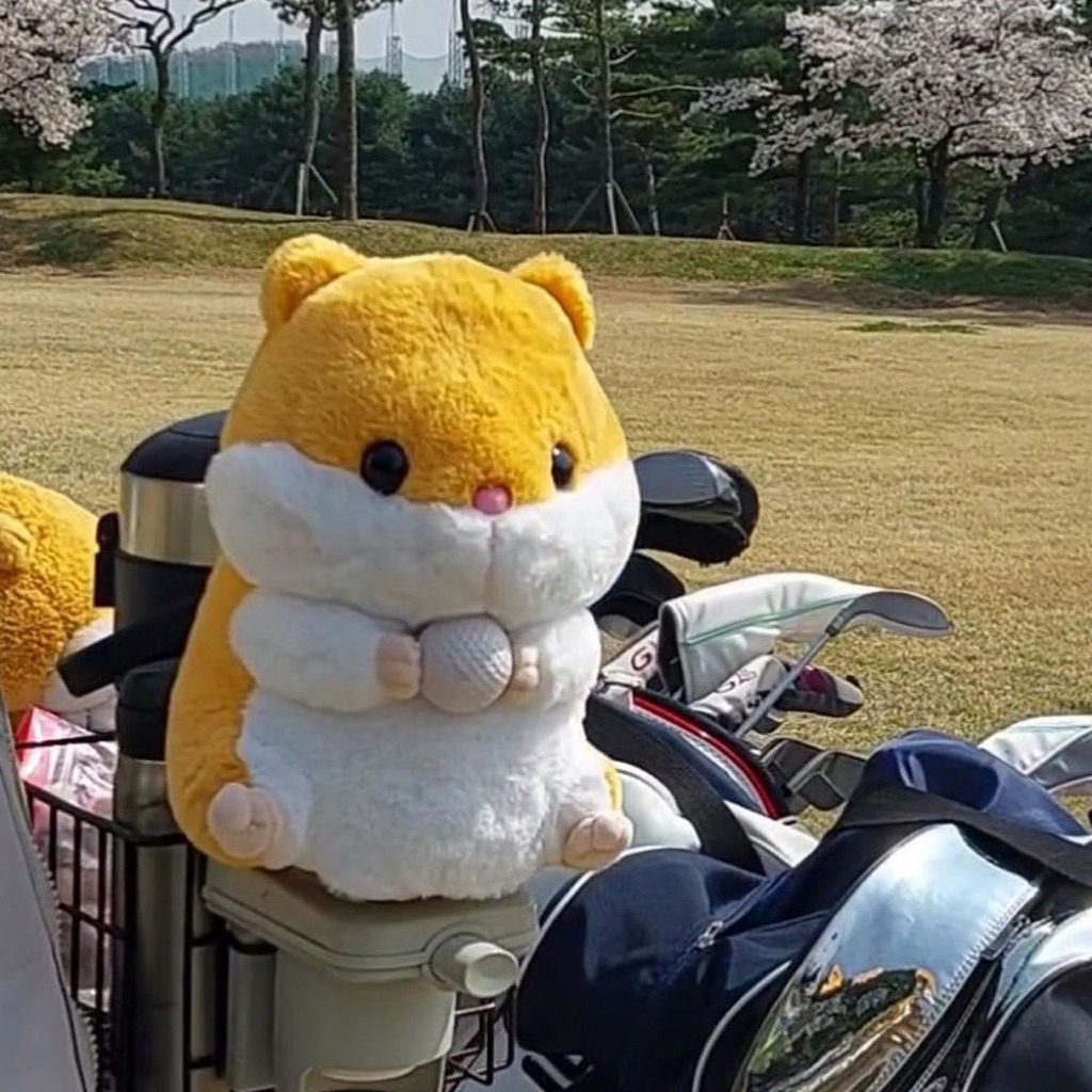 tw-11134207-81ztn-mjjv1h3ptk3r45