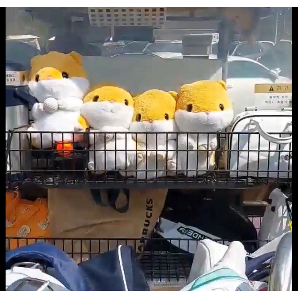 tw-11134207-81ztc-mjjv1h4hwwzpff