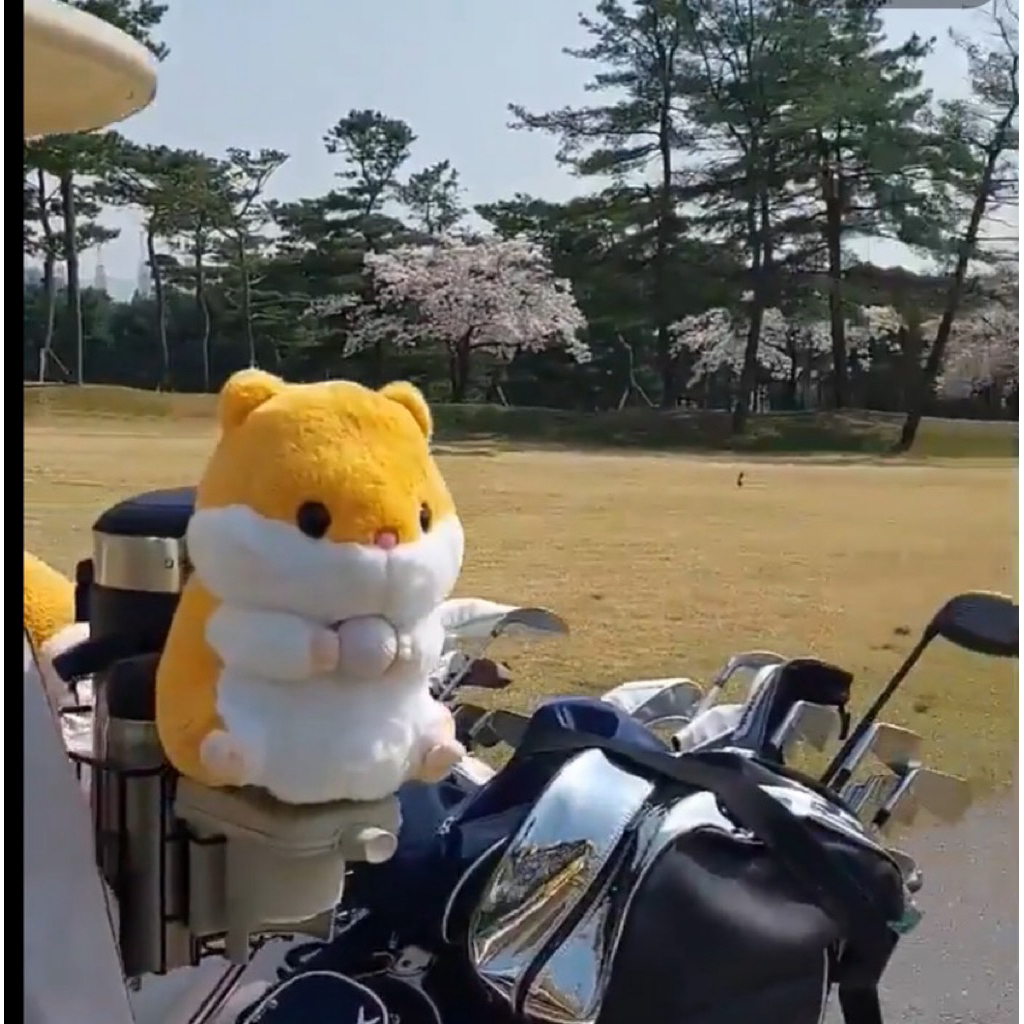 tw-11134207-81zth-mjjv1h6pv2mde9