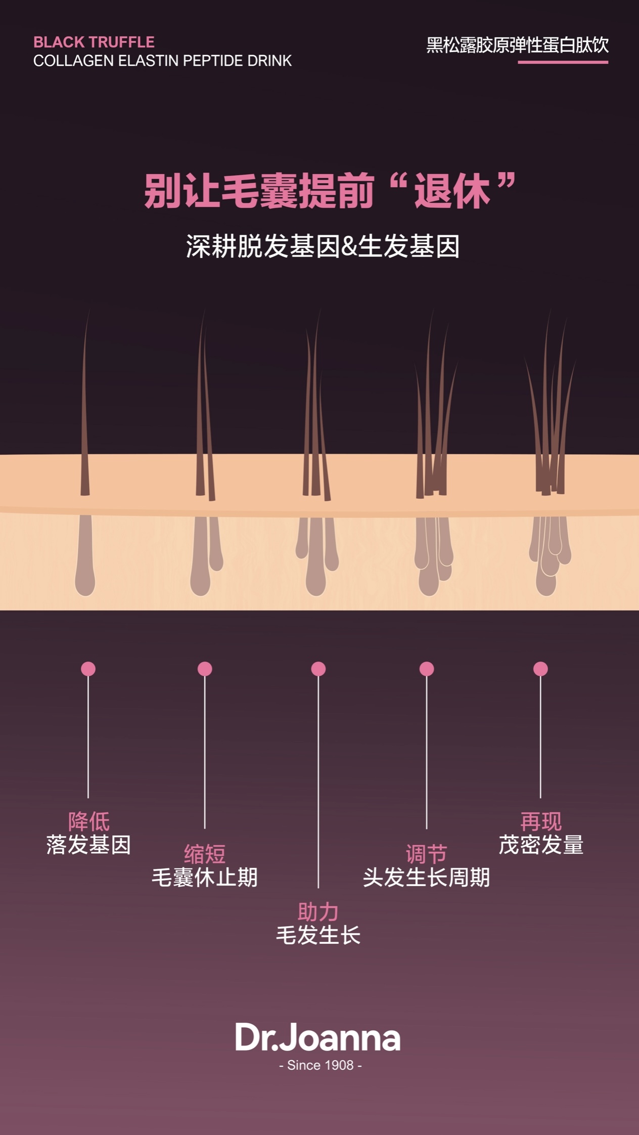 IMG_3102-1713953655167