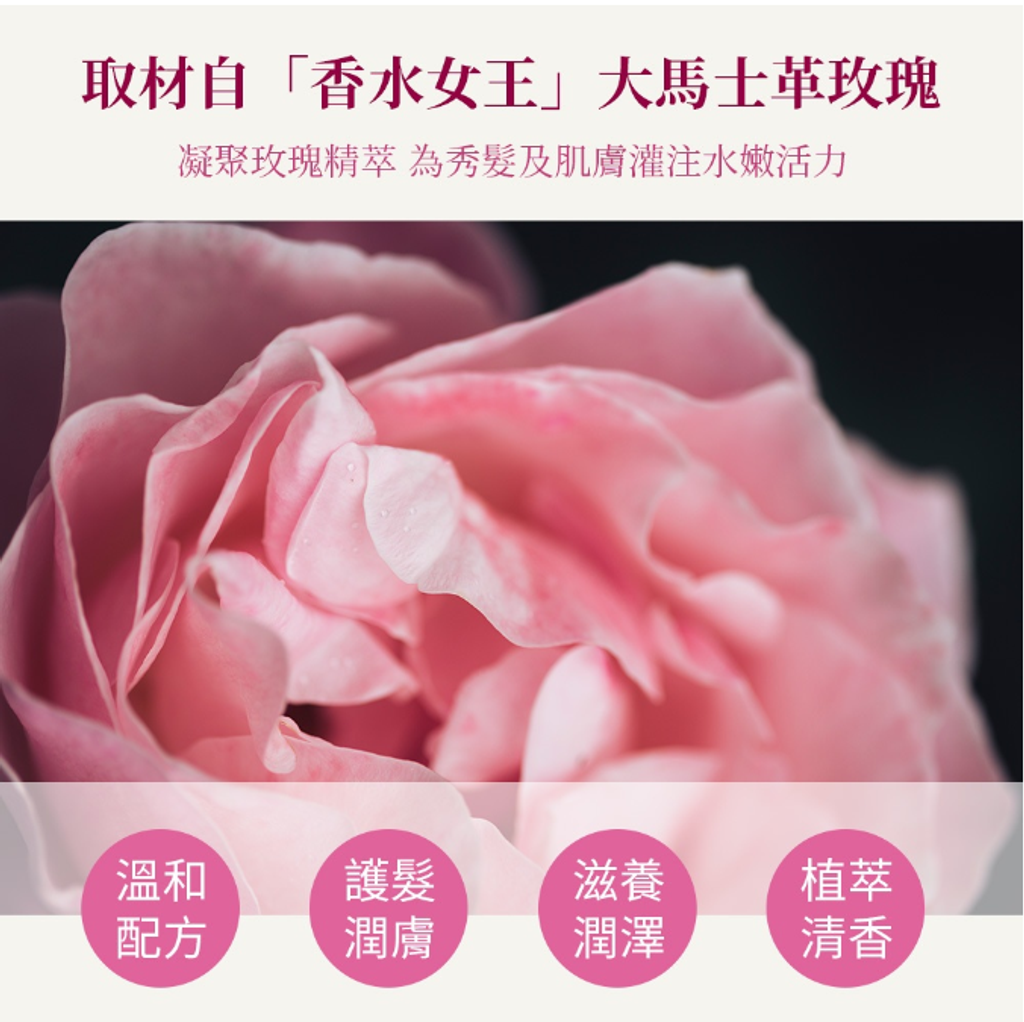 rose4