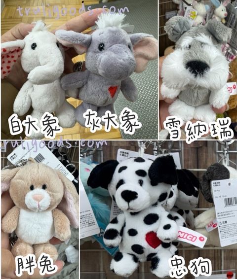 image_AC01C230-6250-453C-8834-CFA8B63F9A4D_1741065834