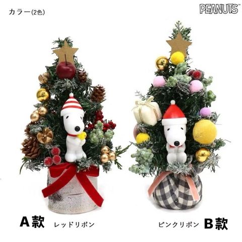 572977468_10238385713437995_4131267780389188049_n