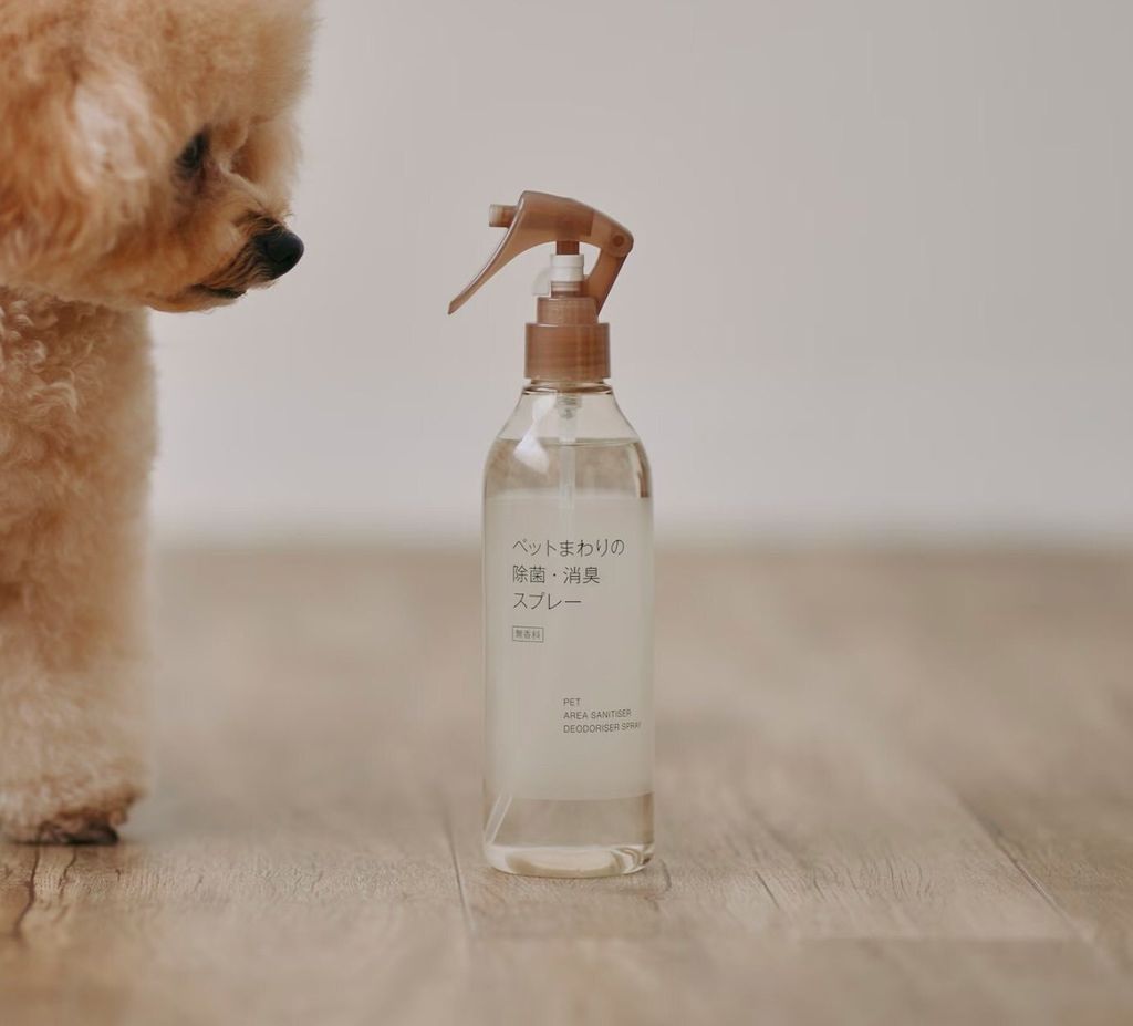 591821256_10238831141973430_2849708033207795190_n