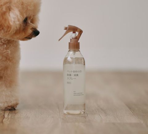 591821256_10238831141973430_2849708033207795190_n