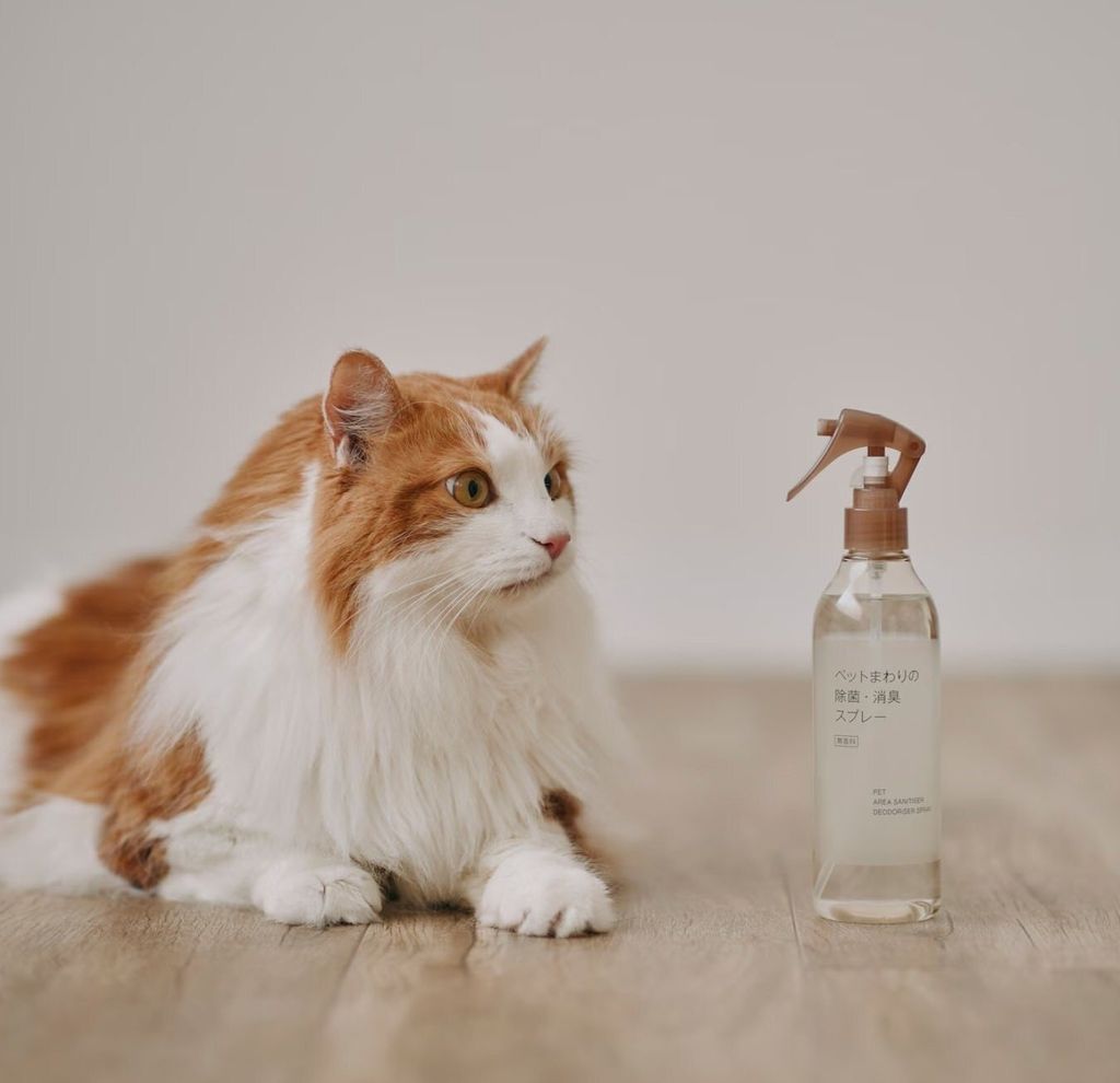 591729986_10238831142373440_2379377203416585011_n