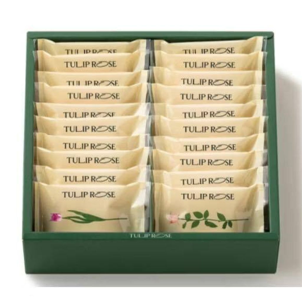 586545818_10238700527908160_7342624840005139786_n