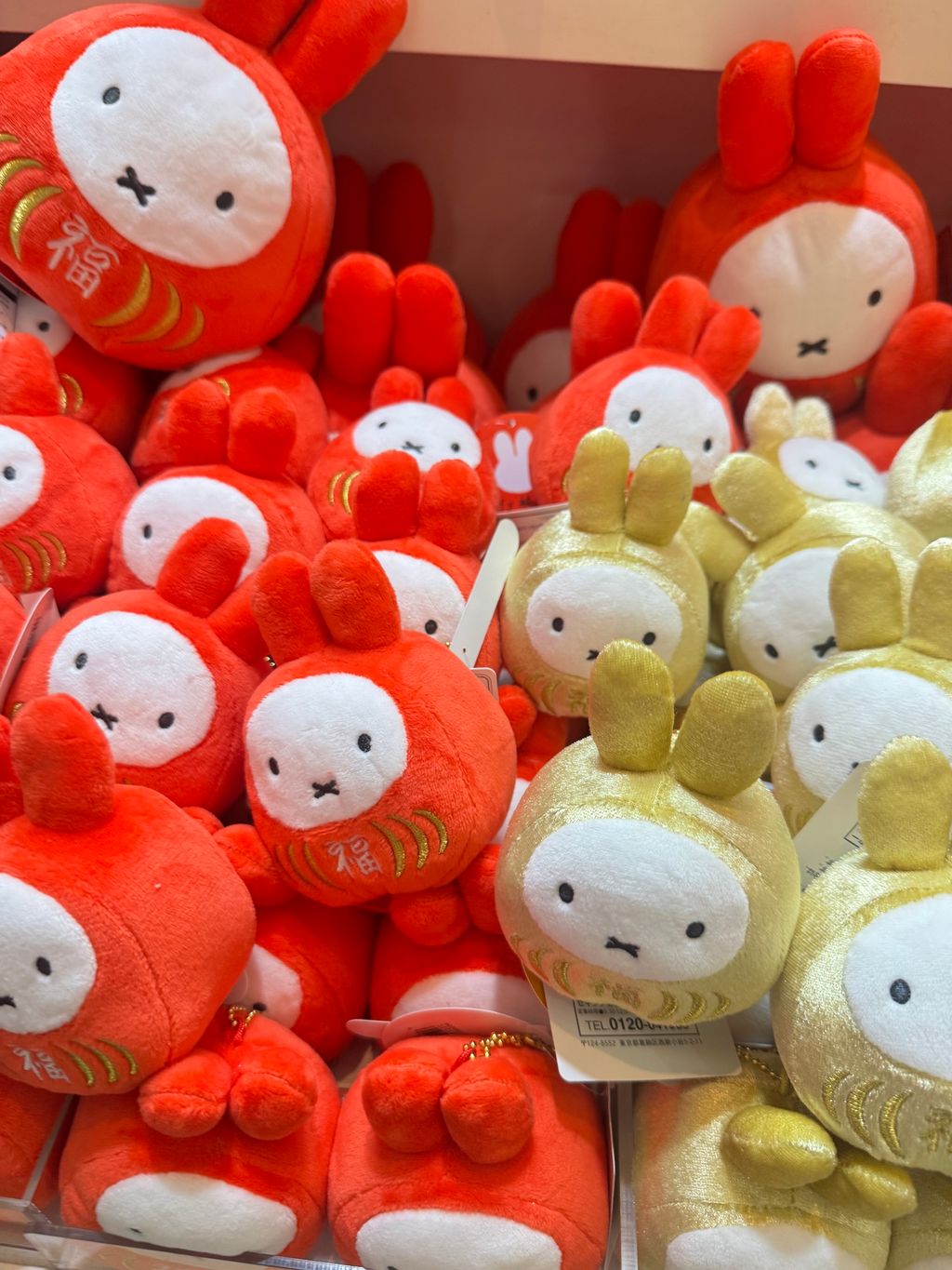 image_26E76203-92D8-41E8-A396-5BF5CBE4AD60_1765150068