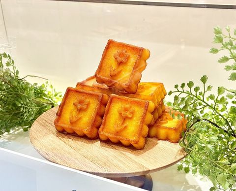 image_8E119DF1-7A75-4495-82E9-A761DE73E118_1768793382