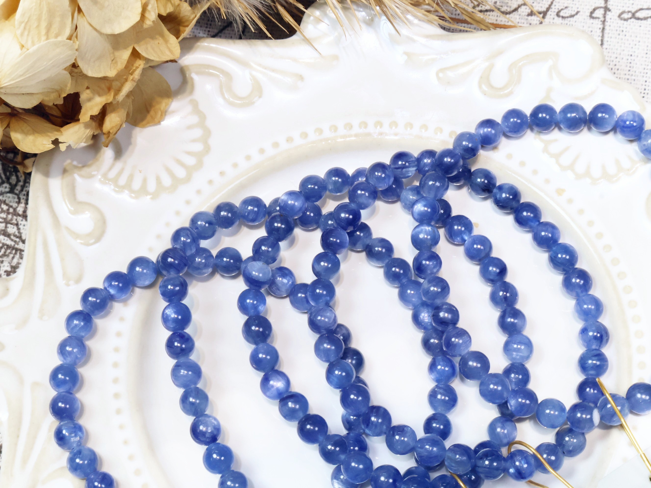 IMG_2841