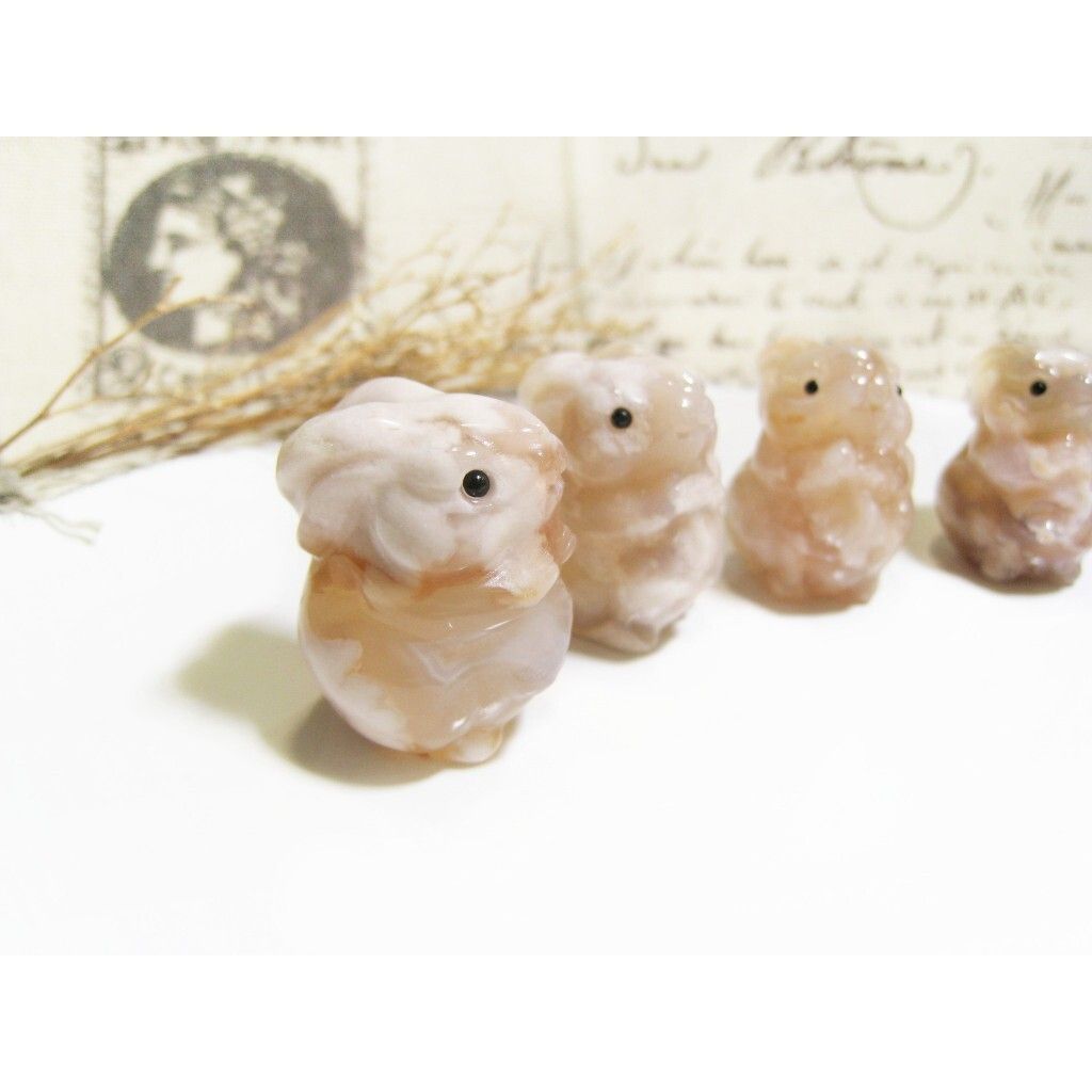 tw-11134207-7rasd-m0cwr8plq19j5b