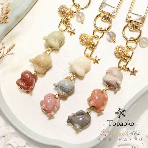 阿拉善瑪瑙/Alashan Agate – TOPAOKO/晶格格的多寶格