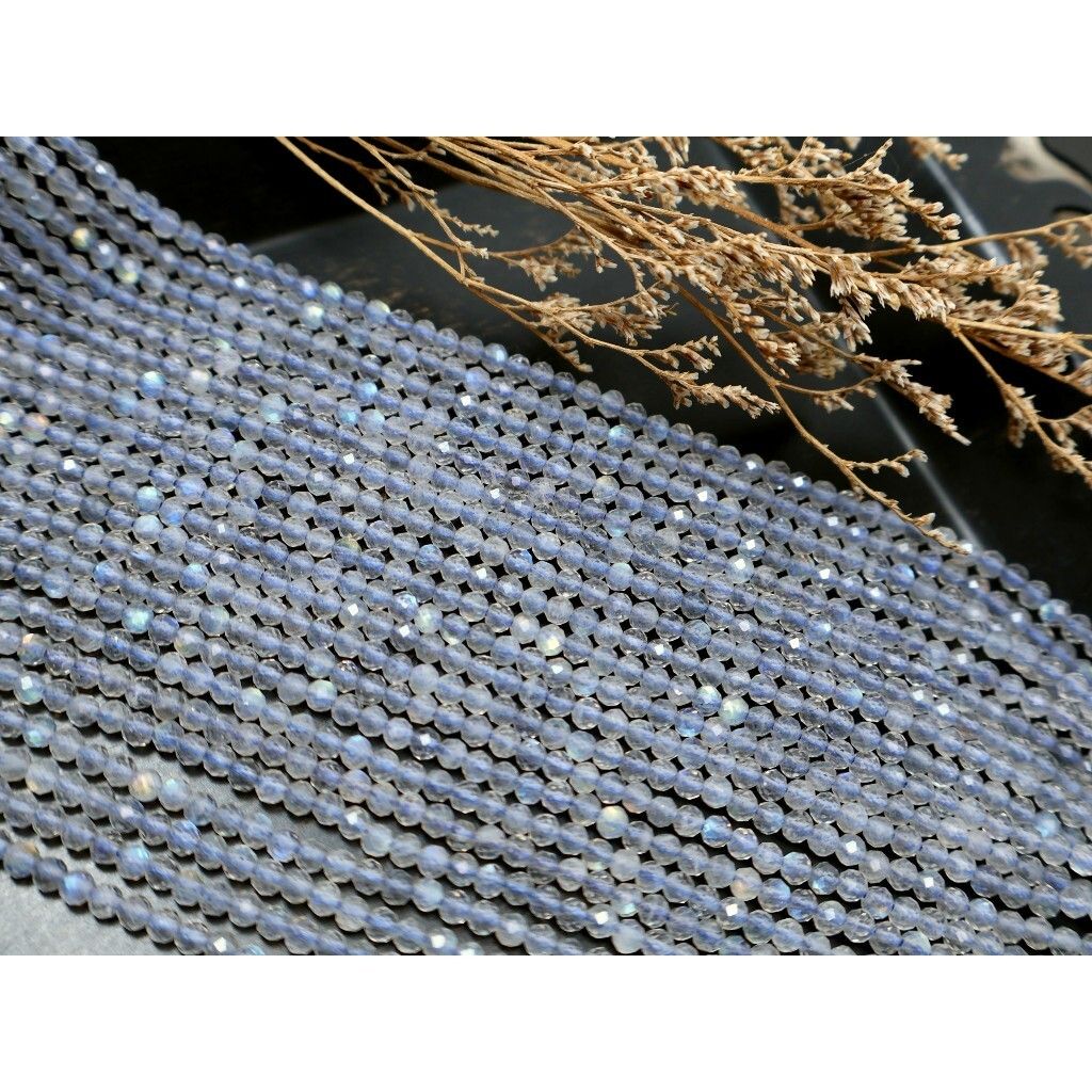 tw-11134207-81ztq-mjtvvg1h1c022e