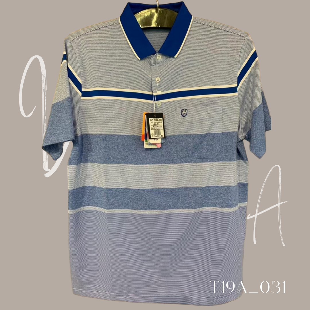 T19A_031