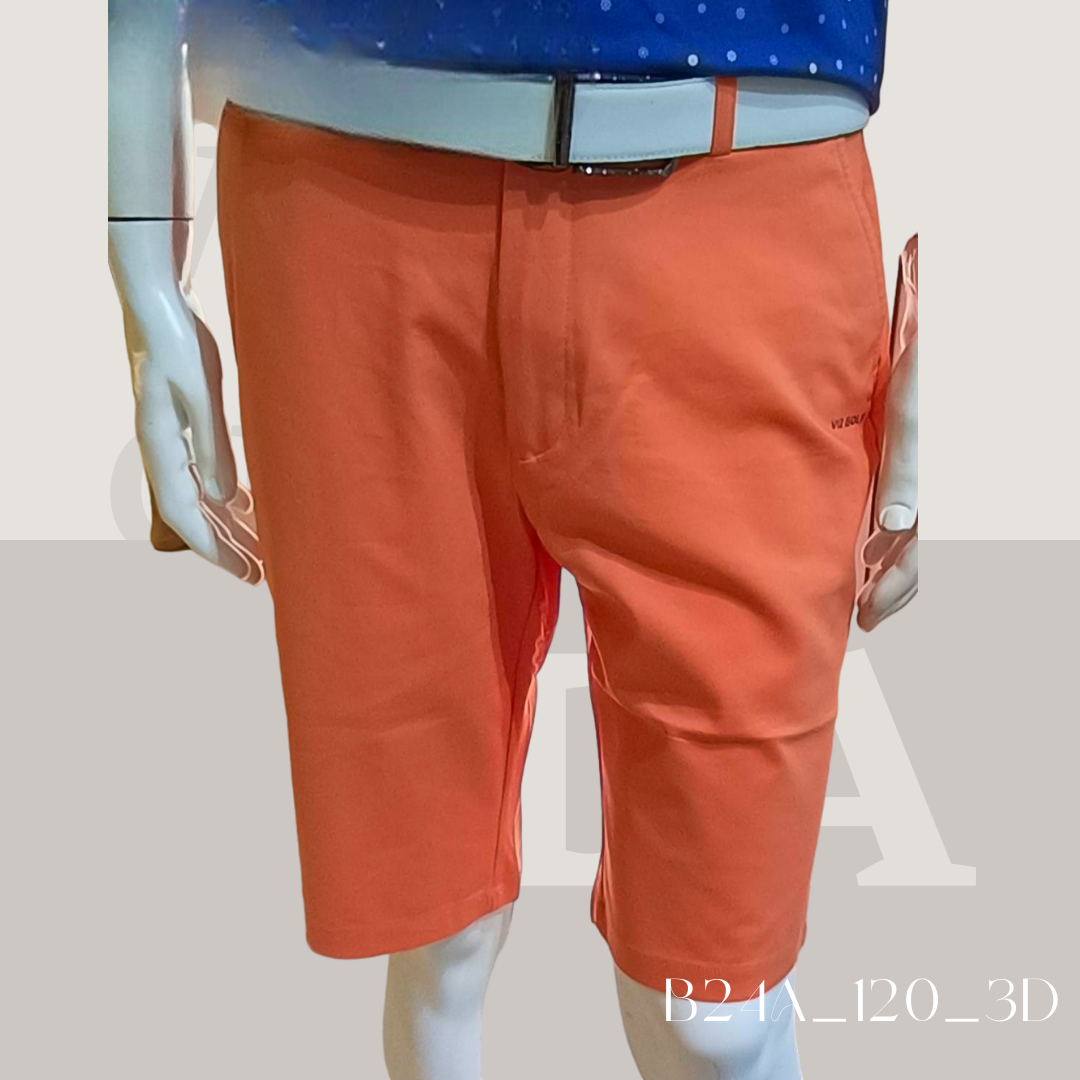 B24A_120_3D