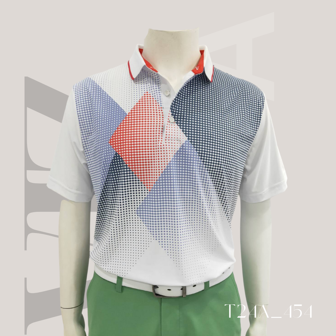 T24A_454