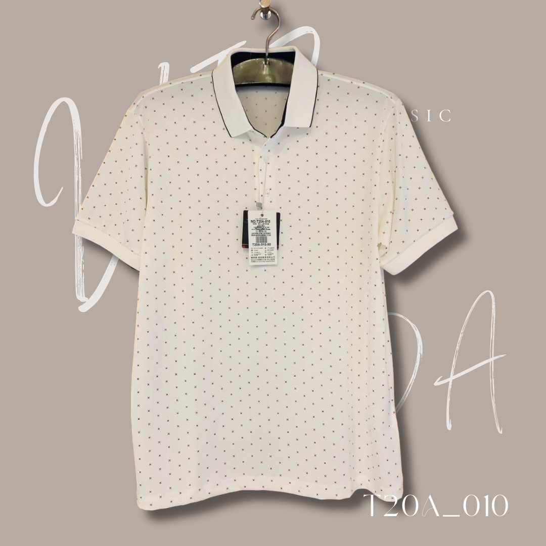 T20A_010