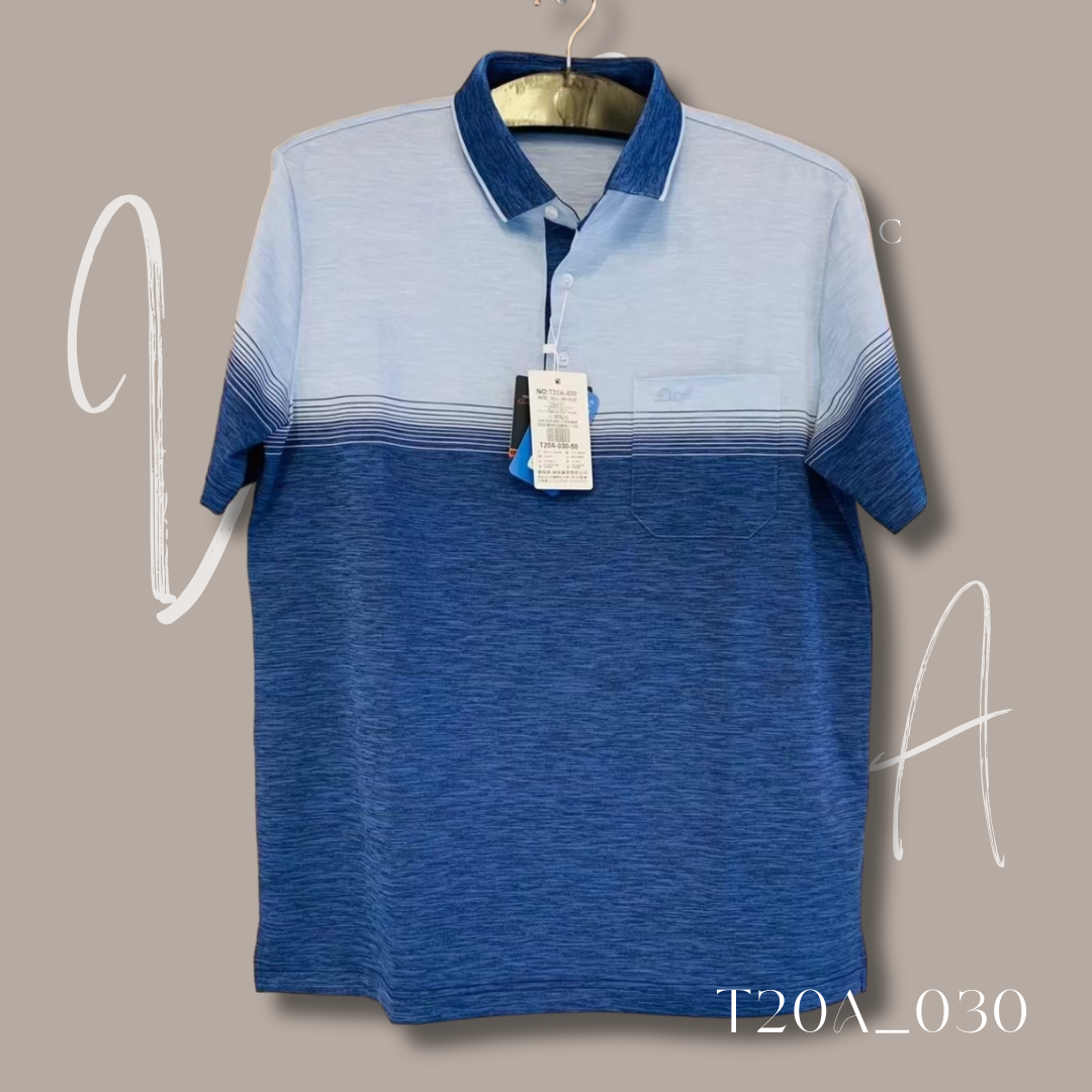 T20A_030