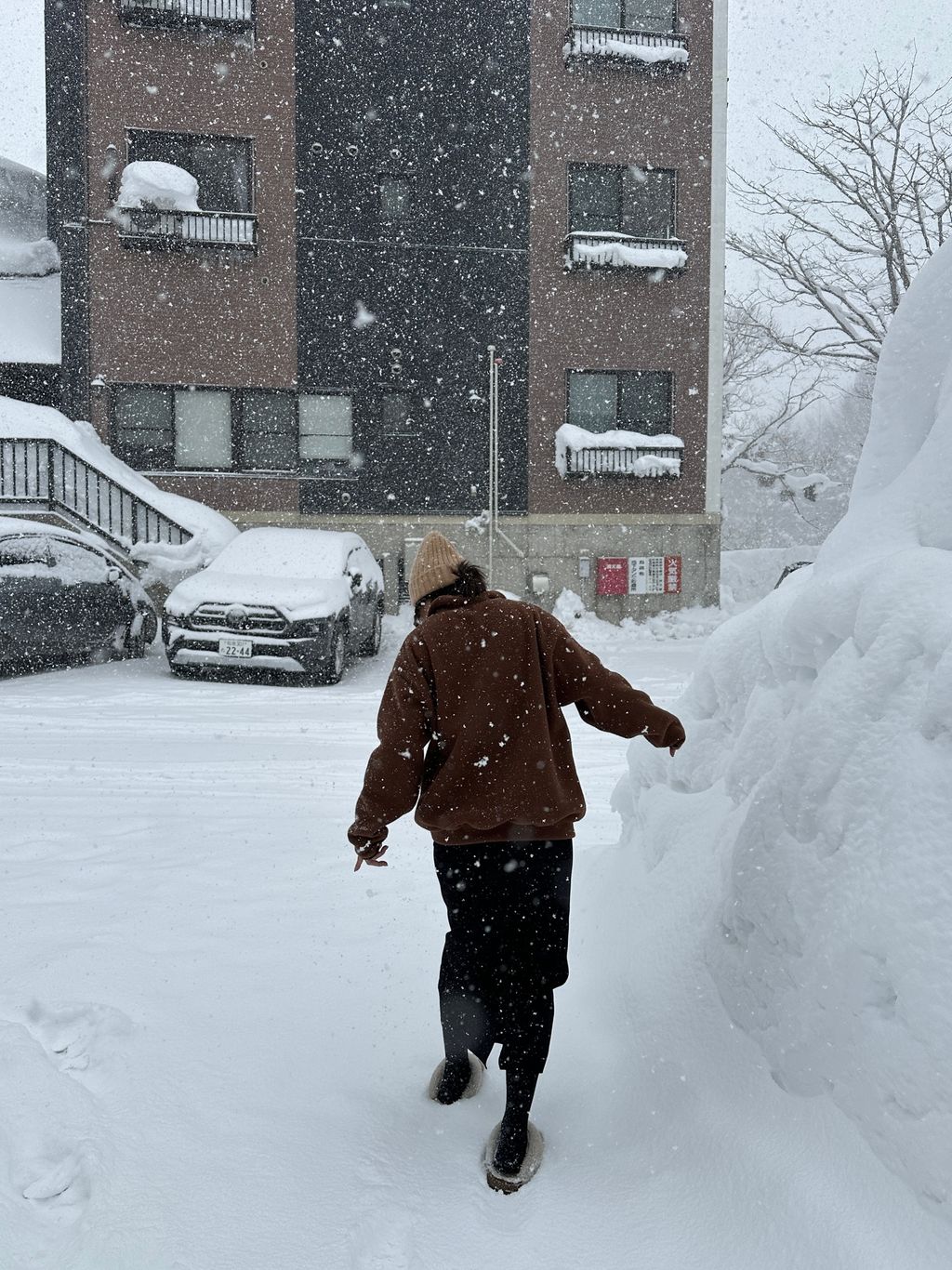 IMG_1861-1740427563564