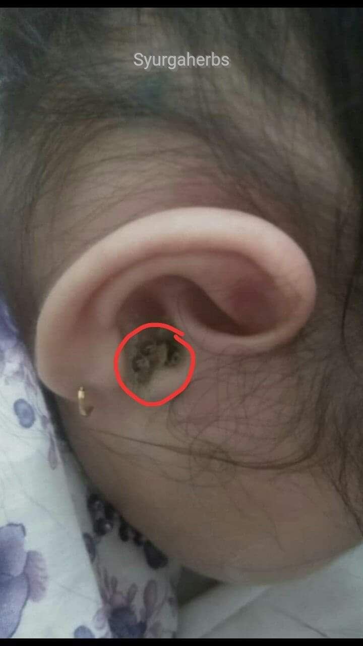 IMG_20231229_093738_729