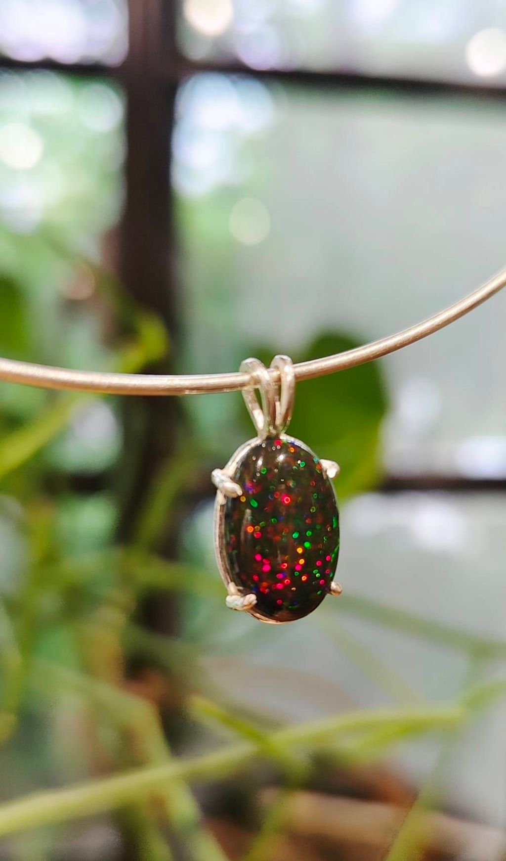 IMG_0690-1720858898366