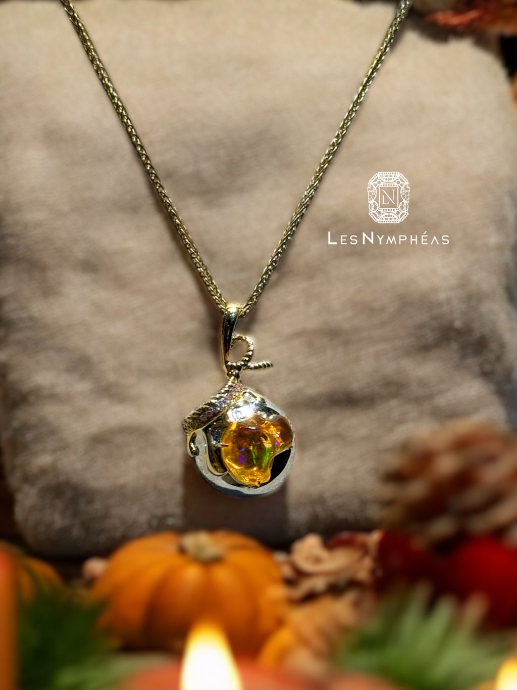 IMG_0054-1730031525745