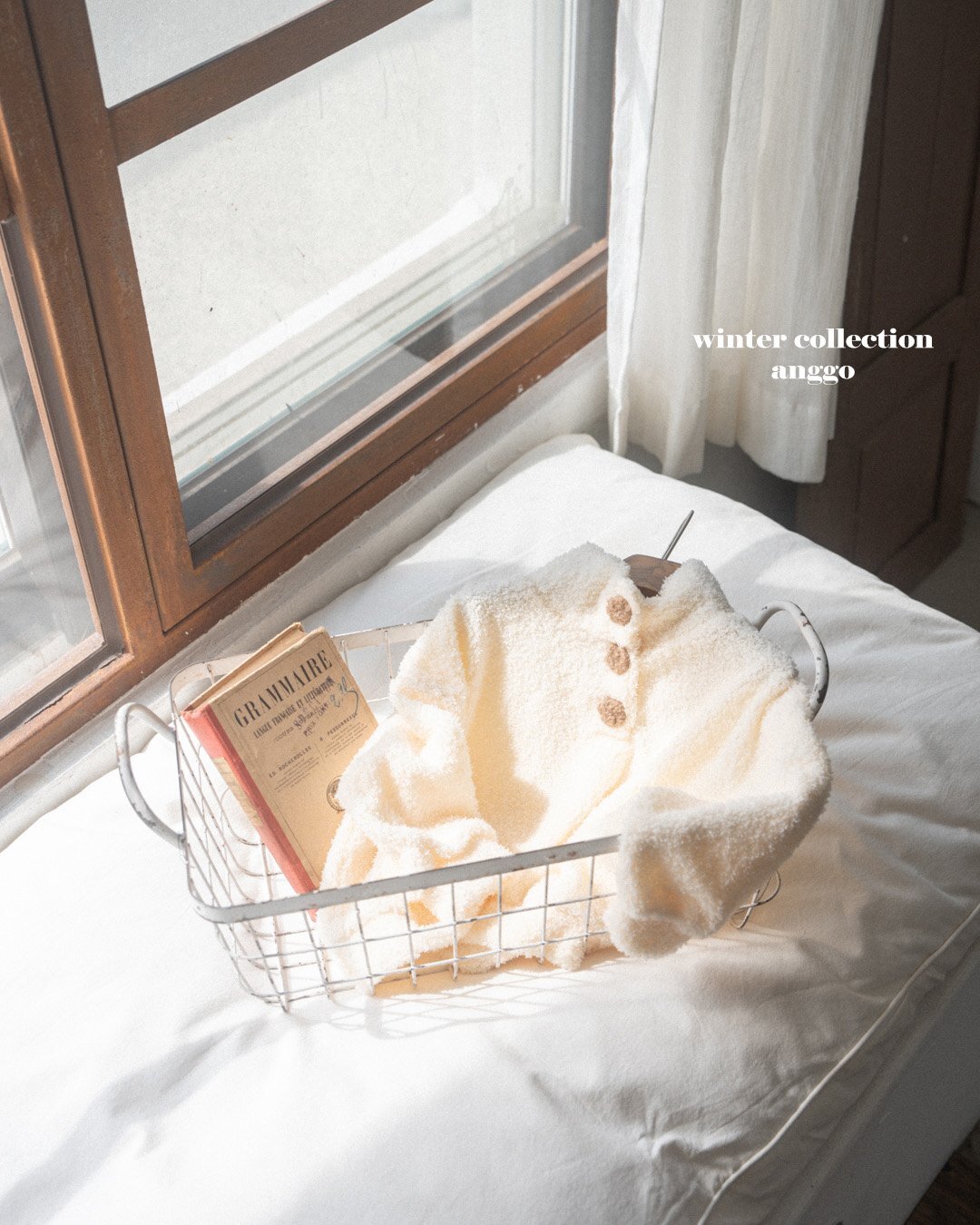 image_FE902038-E2D1-4DCF-9039-2CF3A1D0AD28_1766060053