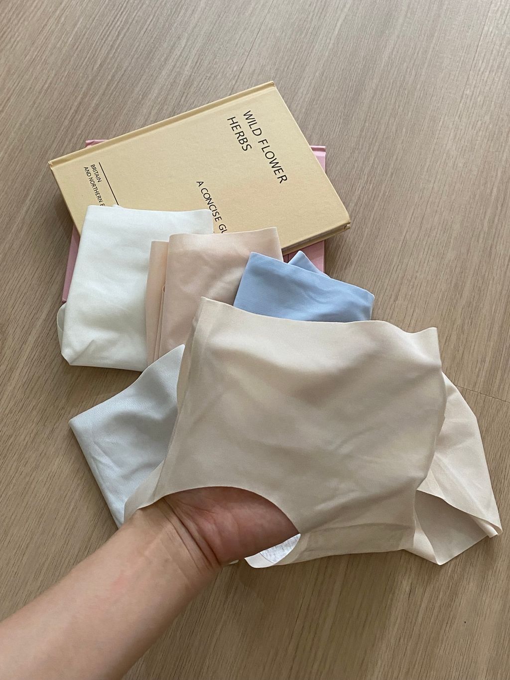 IMG_0972-1730544758457