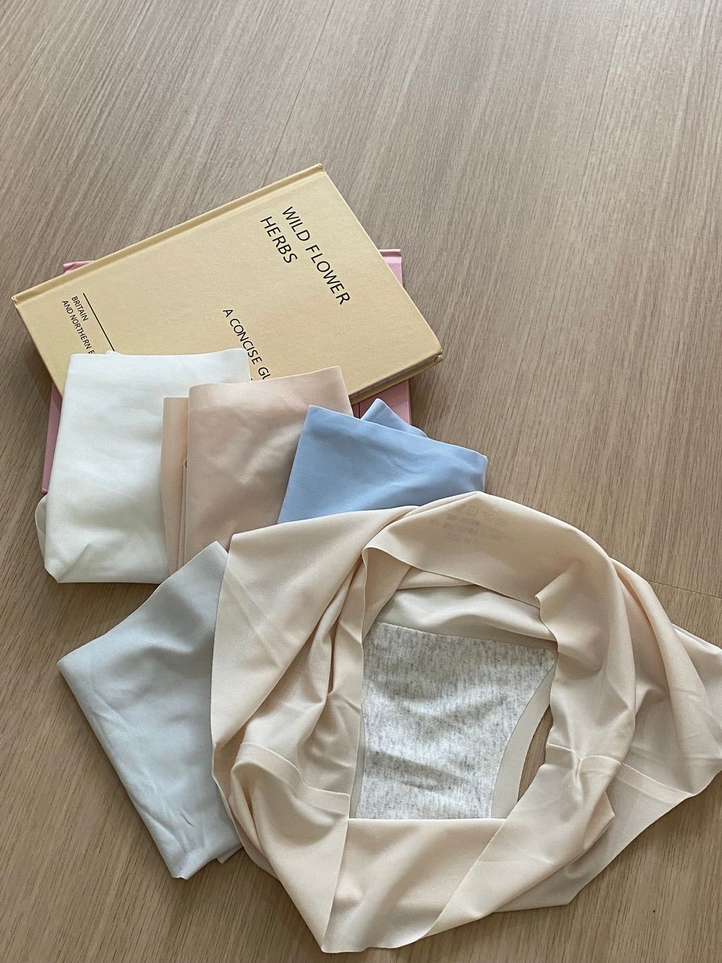 IMG_0973-1730544759661