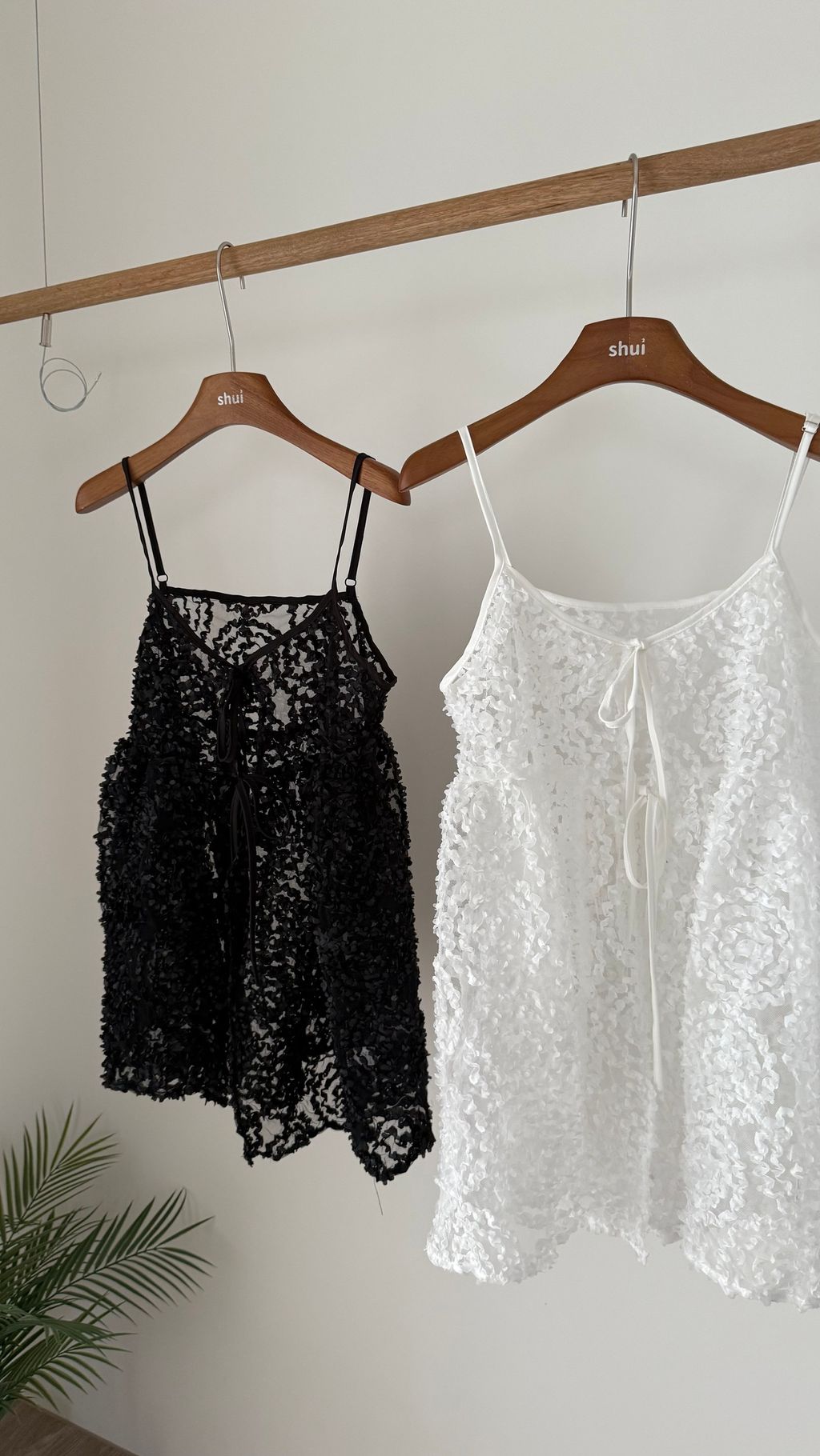 image_AEED6359-BE75-484E-84AE-D27A2B198D1A_1757078562