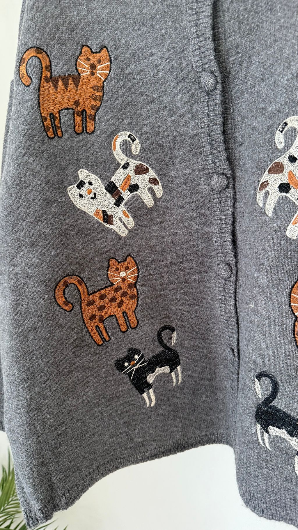 image_CBCFB45E-FC34-4816-A5D1-53033E28EDD7_1762587429