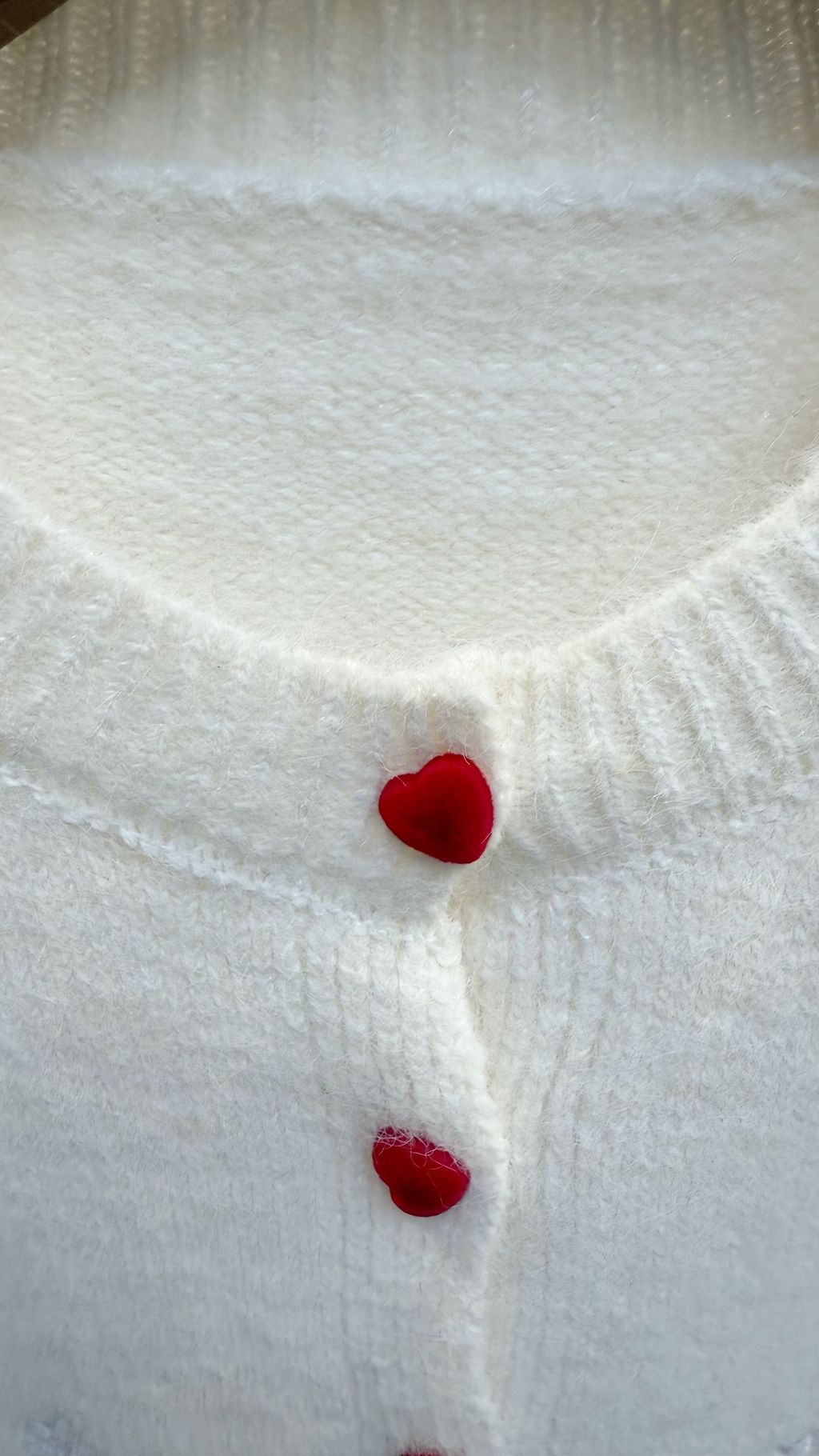 image_70F11830-5023-4696-B03D-544B3C9BB30D_1765874790