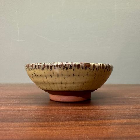 WhatsApp Image 2024-03-16 at 4.36.39 PM