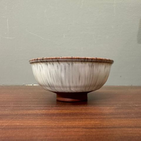 WhatsApp Image 2024-03-16 at 4.36.41 PM (1)