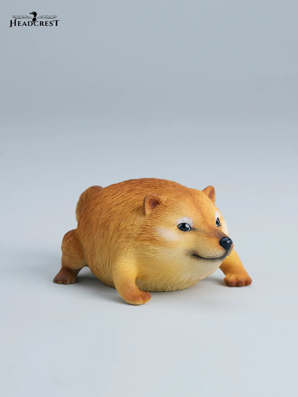 800x