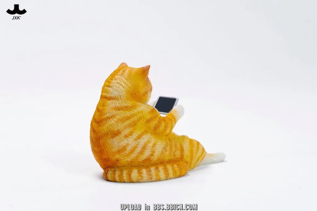 800x