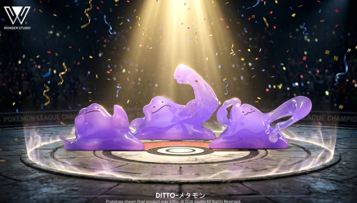 800x